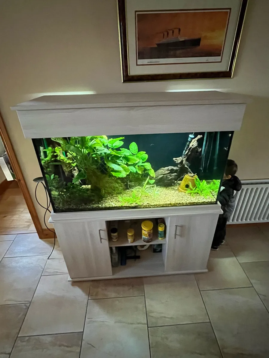 **Aquarium full set up** - Image 1