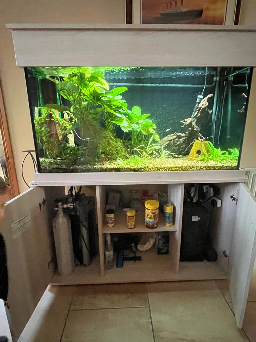 **Aquarium full set up** - Image 2