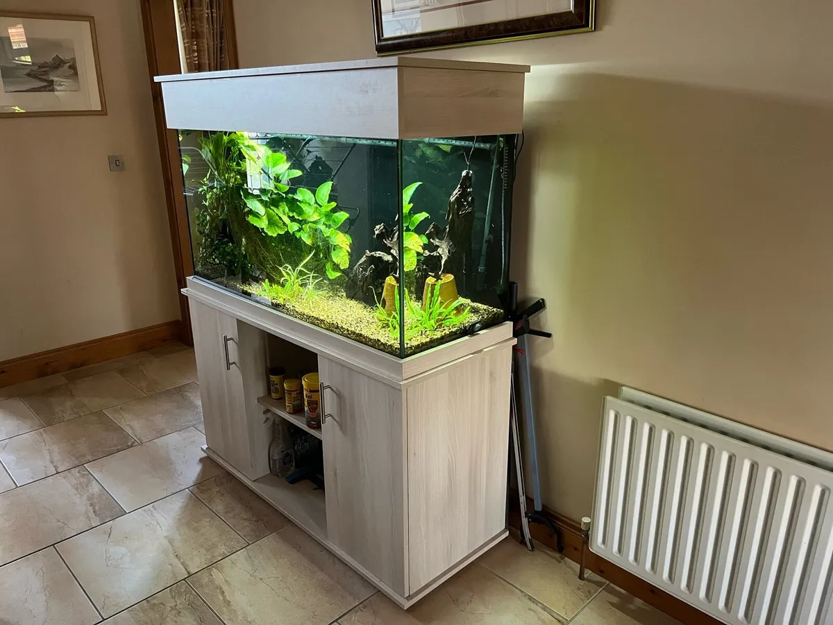 **Aquarium full set up** - Image 3