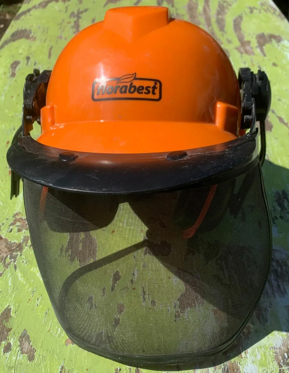 Safety Helmet with Ear Defenders & Visor - Image 2