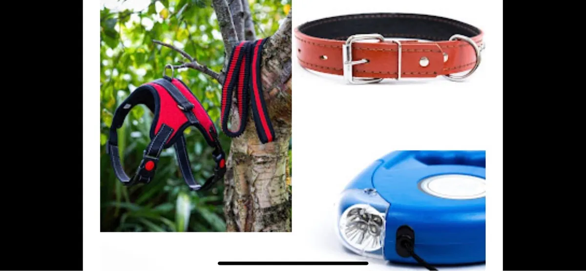 Pet dog accessories stock.  Cost €4,500 - Image 3