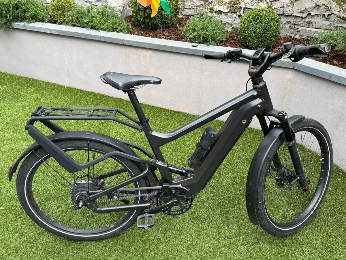 RieseΜeller Delite e-bike grey - Image 1