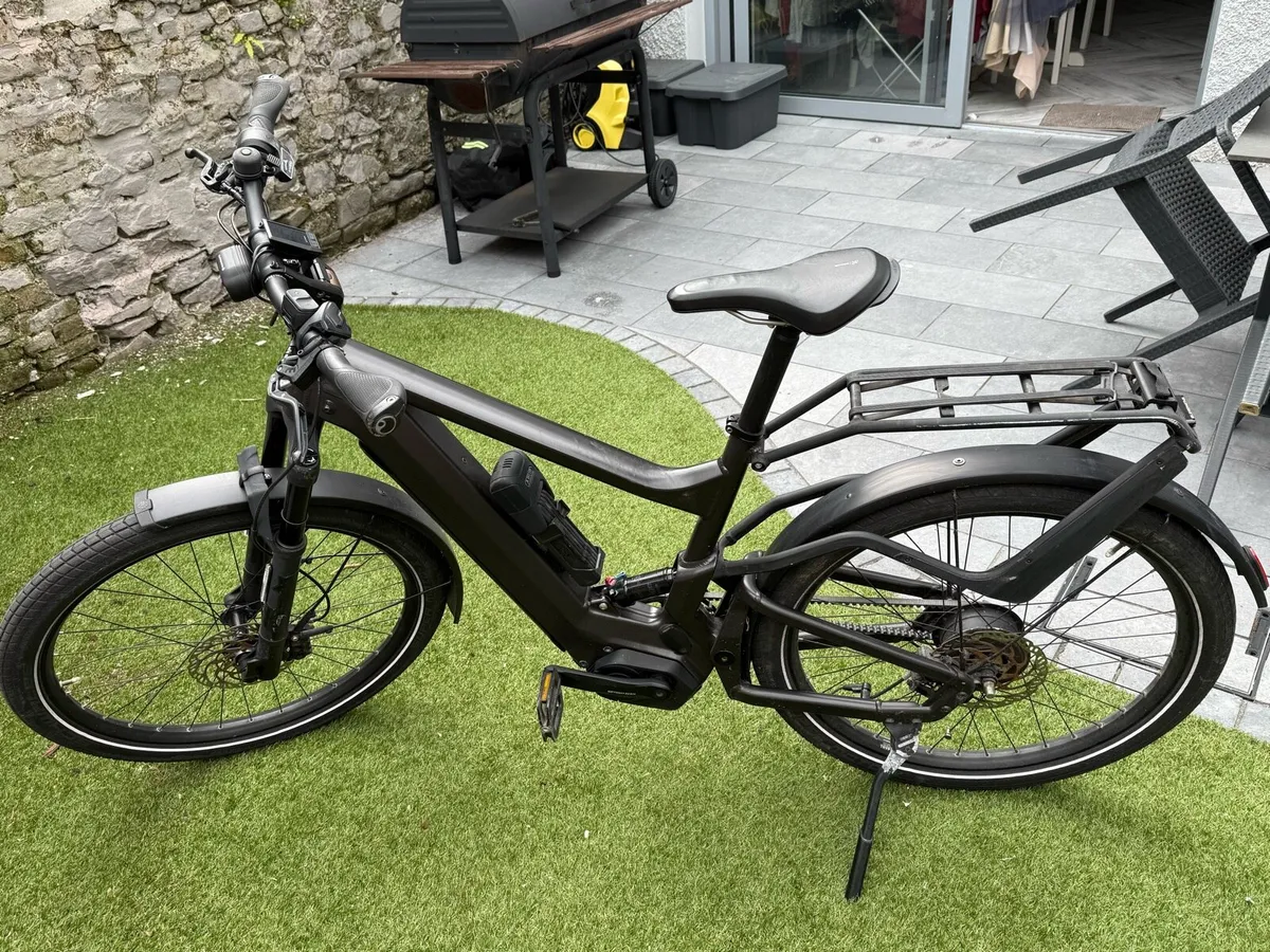 RieseΜeller Delite e-bike grey - Image 2