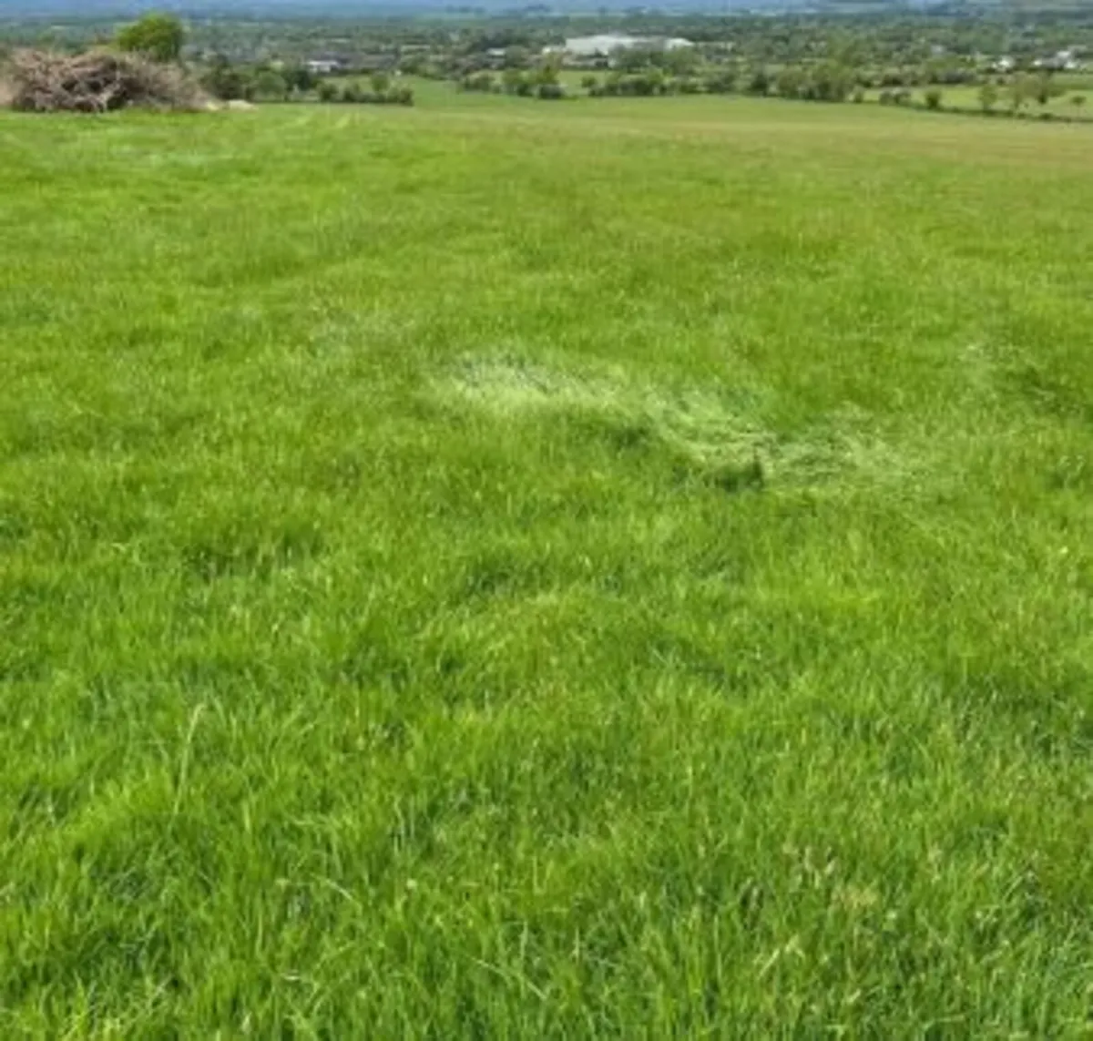 5.5 Acres of Grass