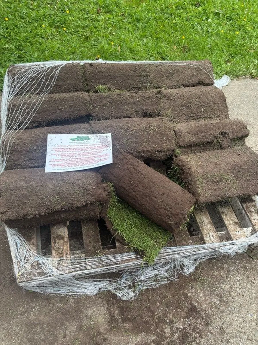 Turf  - 12 Rolls Elite Stamdard - Image 1