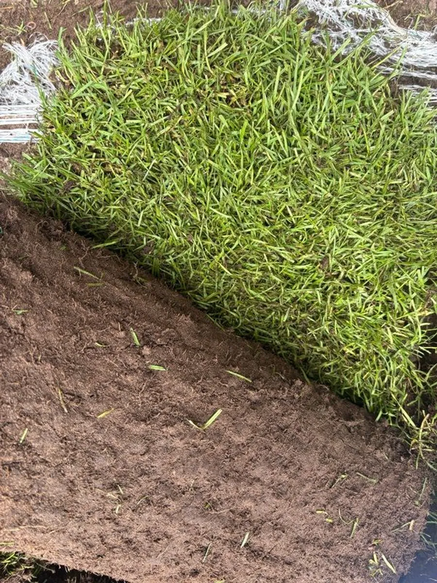 Turf  - 12 Rolls Elite Stamdard - Image 3