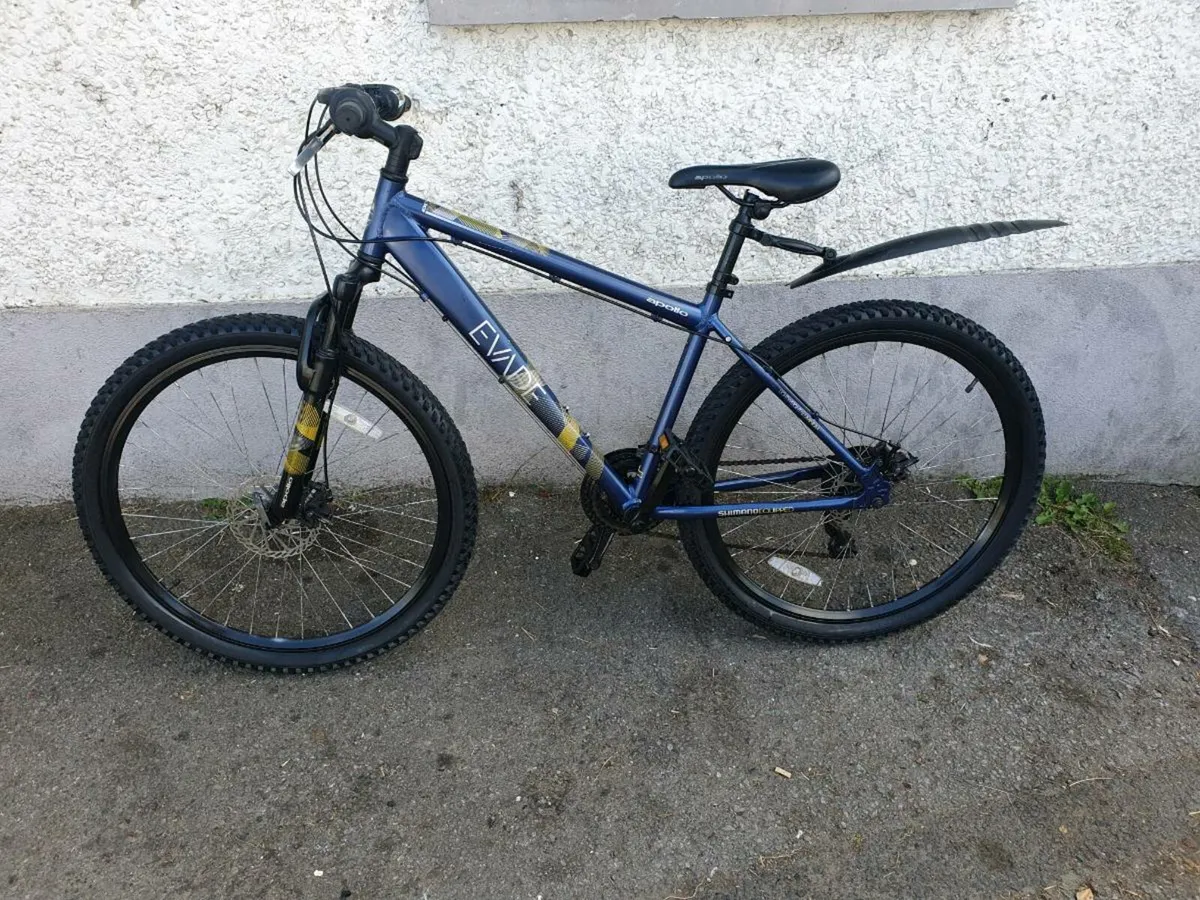 Push bikes - Image 4
