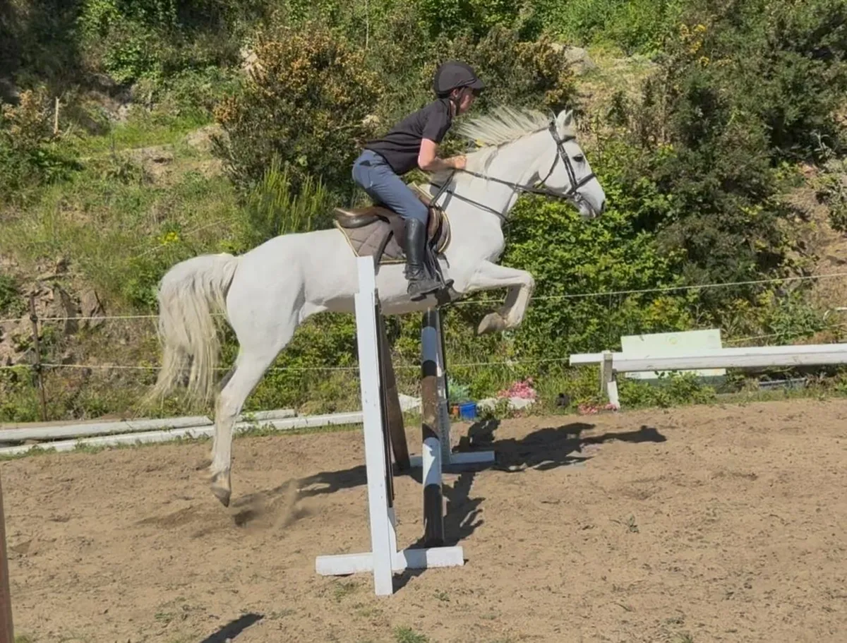 Class 1 Connemara - Image 1