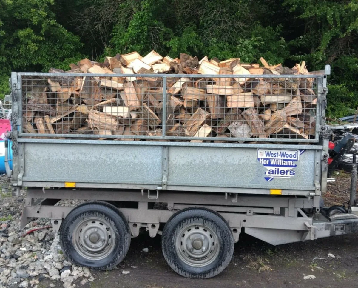 Firewood - Image 2