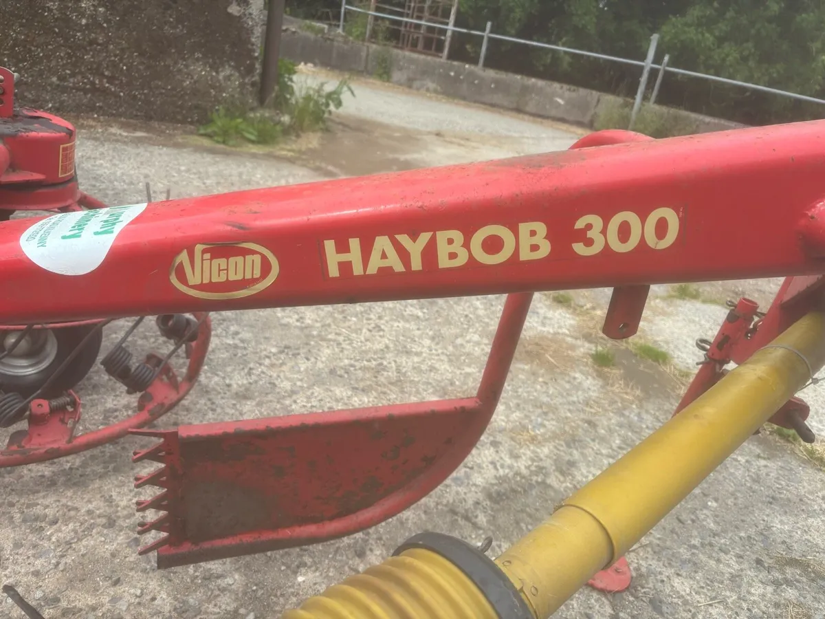 Hay rake - Image 1