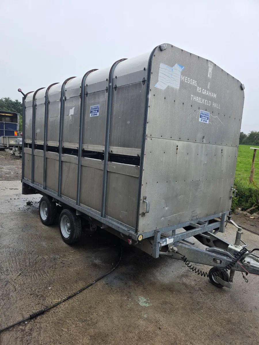 12ft ifor Williams livestock trailer - Image 1