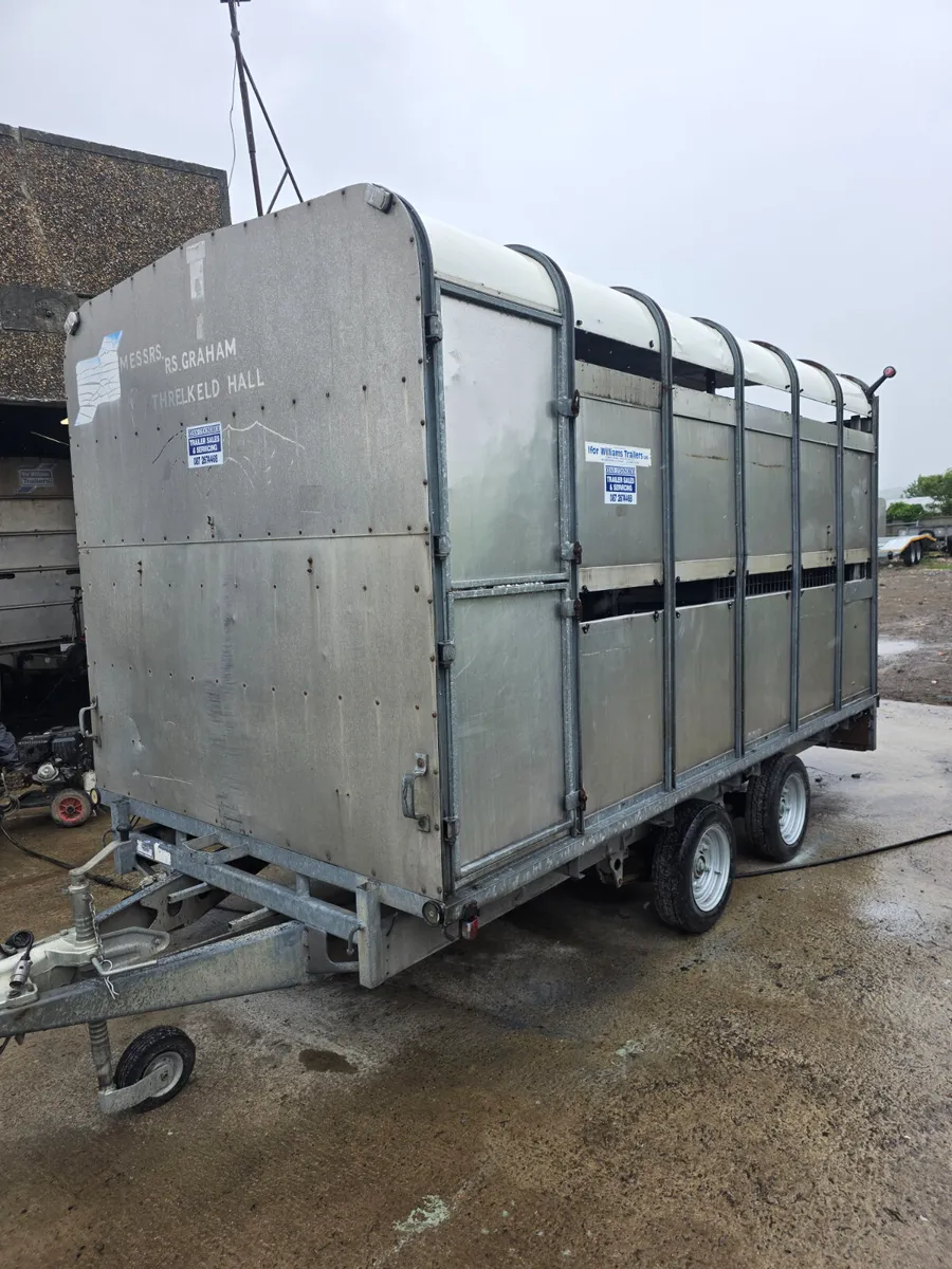 12ft ifor Williams livestock trailer - Image 3