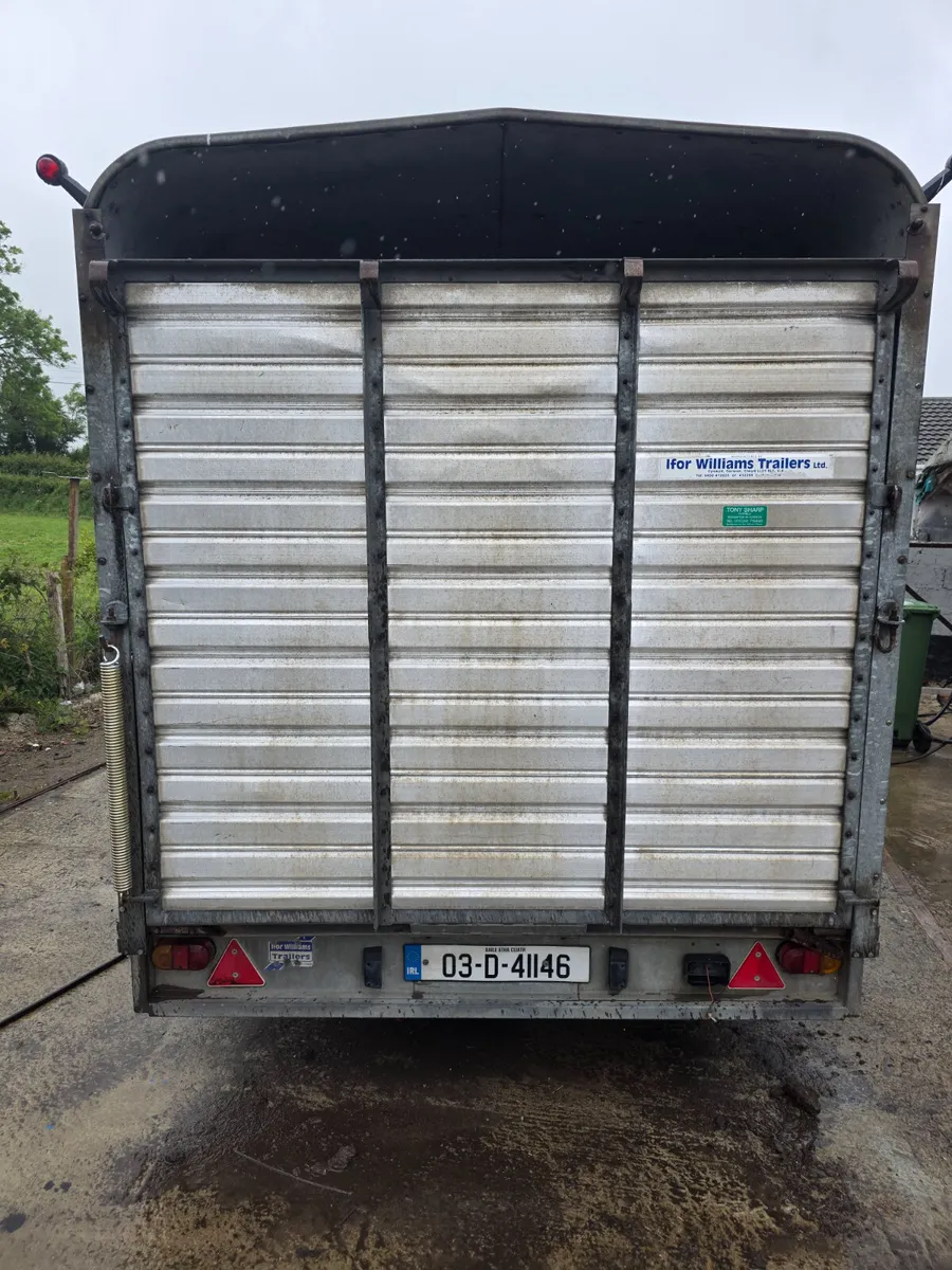 12ft ifor Williams livestock trailer - Image 4