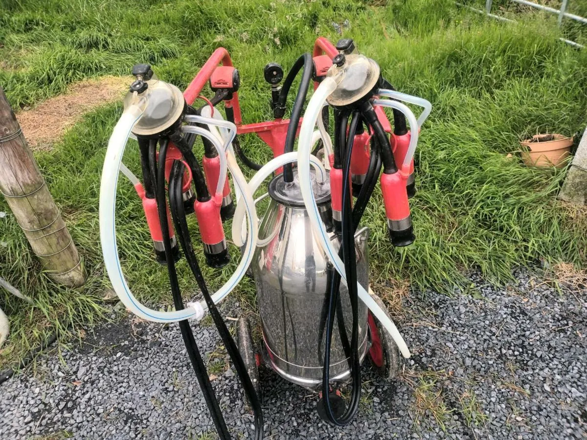 Mobile milking machine - Image 2