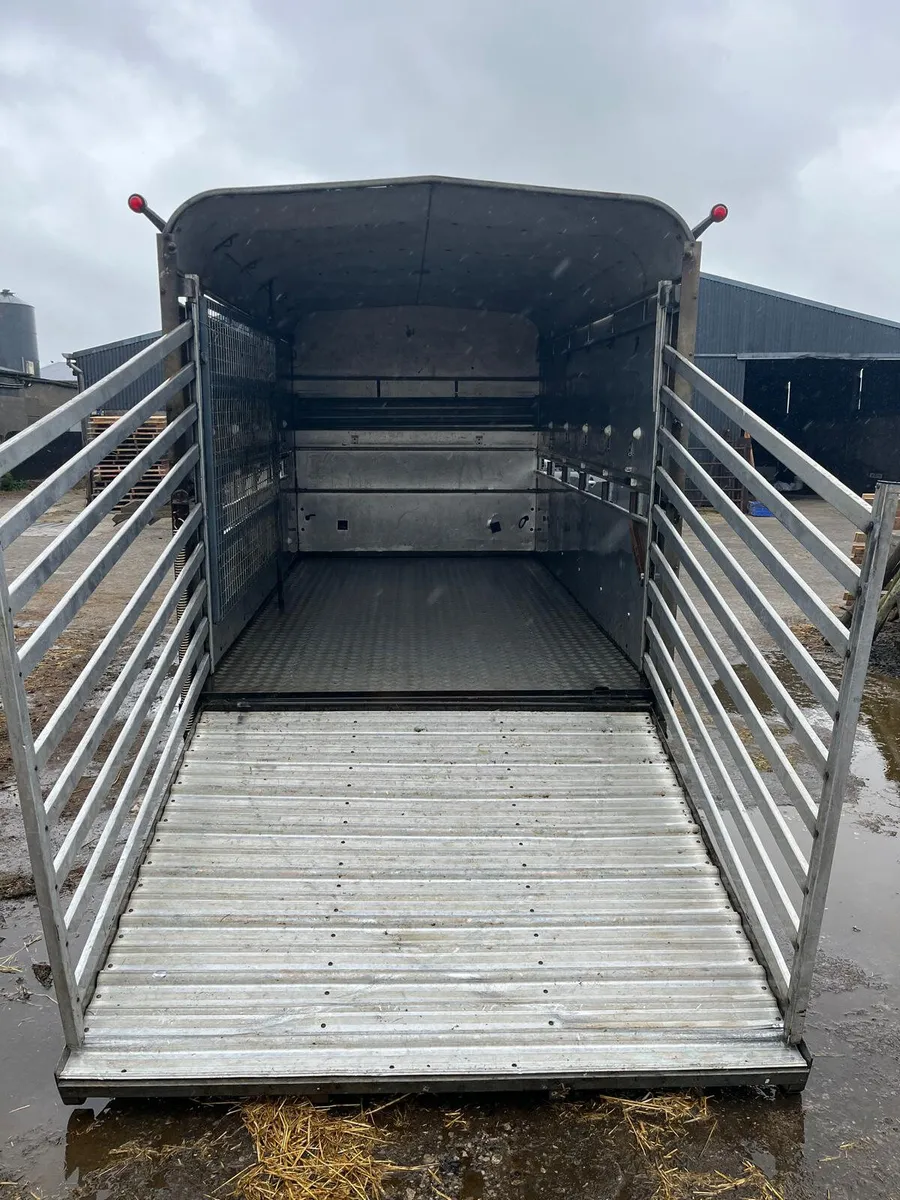 12ft ifor Williams livestock trailer - Image 2