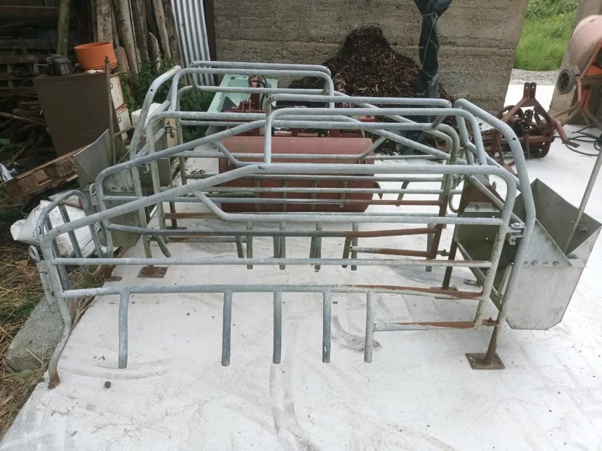 Farrowing crates - Image 2