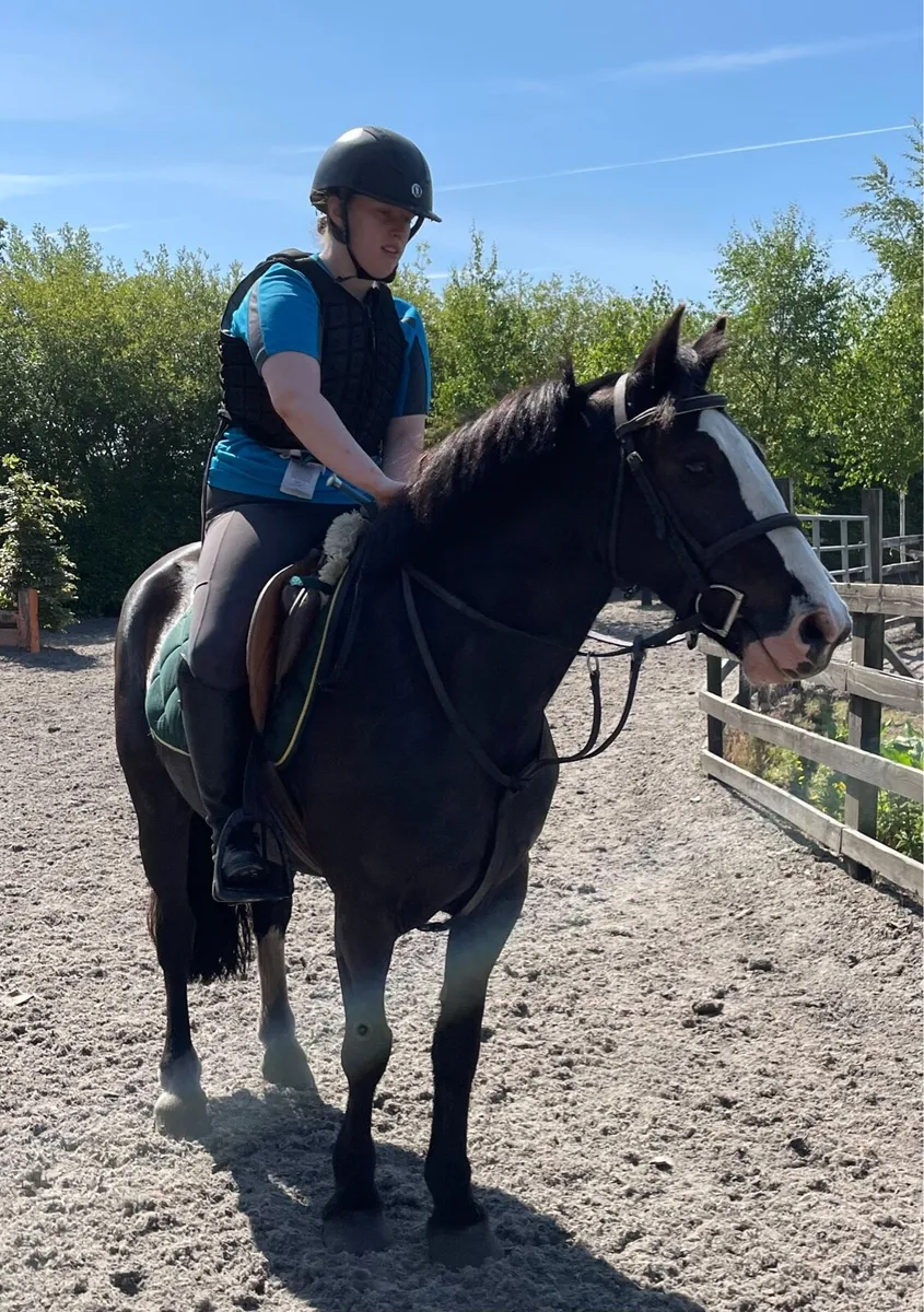 Genuine Black family pony - Image 4