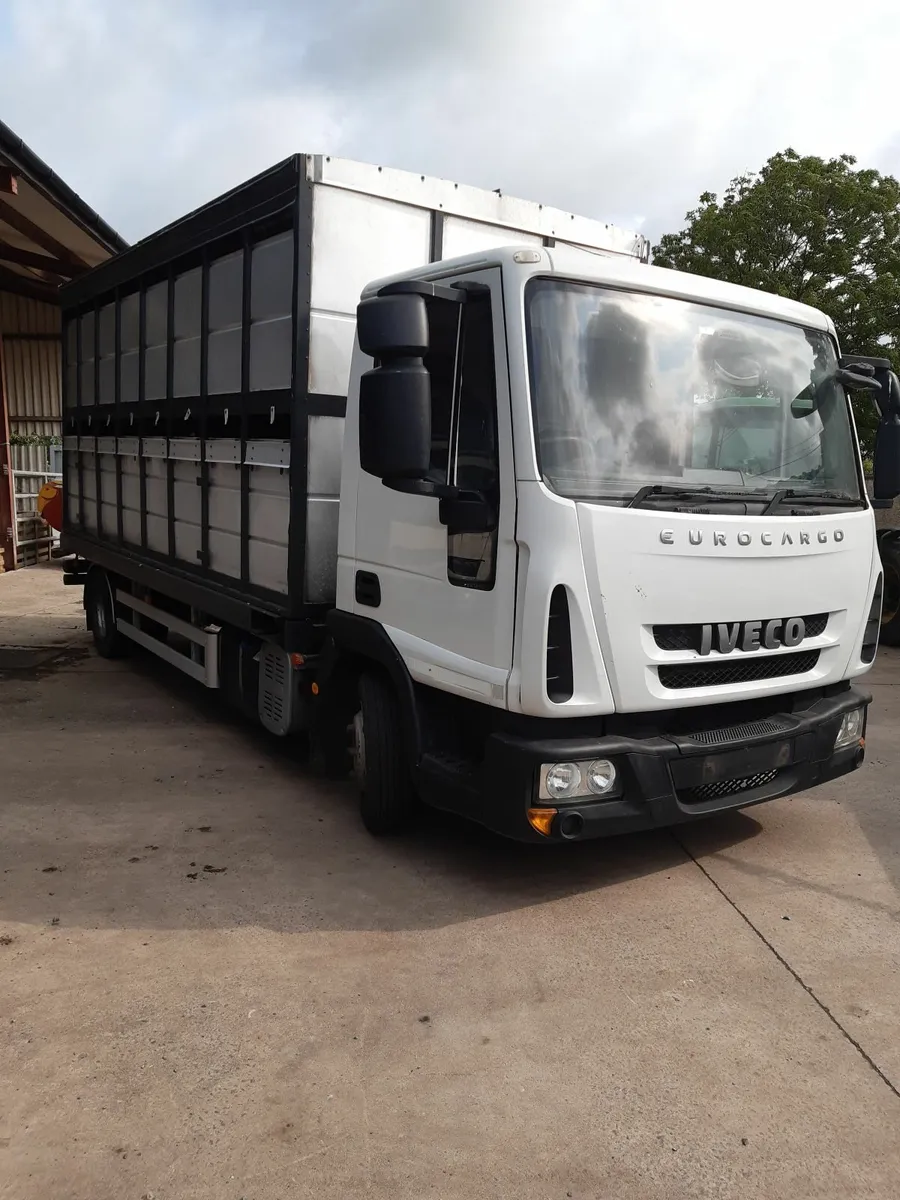 Cattle/sheep lorry - Image 3