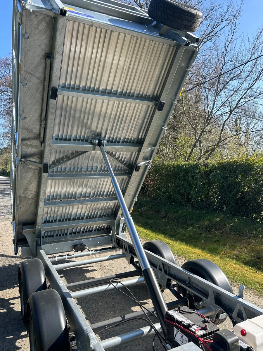 New Ifor Williams TT3017 10 ft Tipper with mesh - Image 3