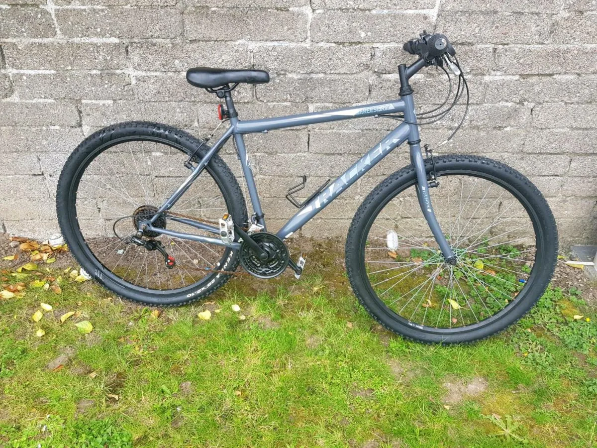 Bike - Image 1