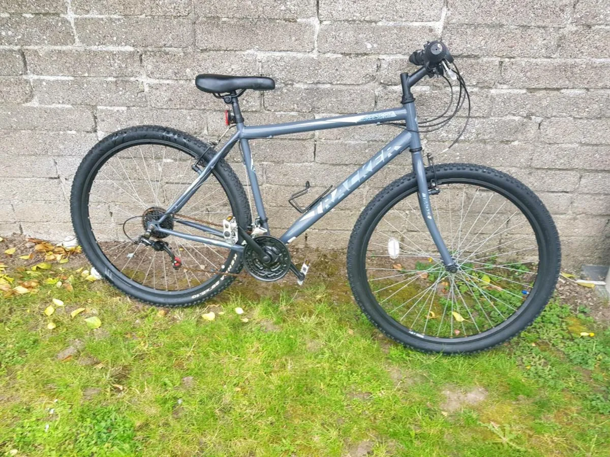 Bike - Image 2