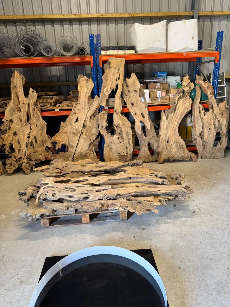 Turkish Olive Wood & Black Walnut slab - Image 3