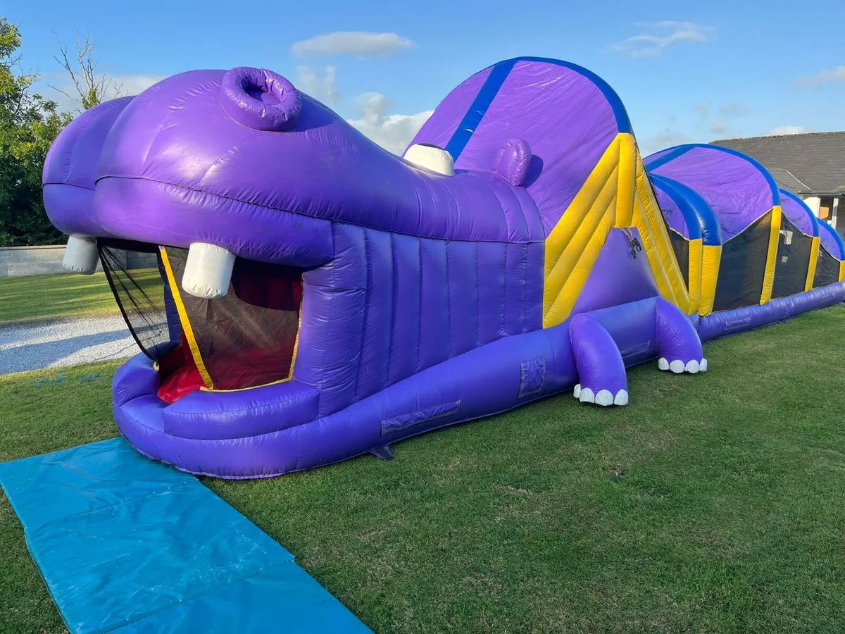 HIPPO OBSTACLE COURSE - Image 1