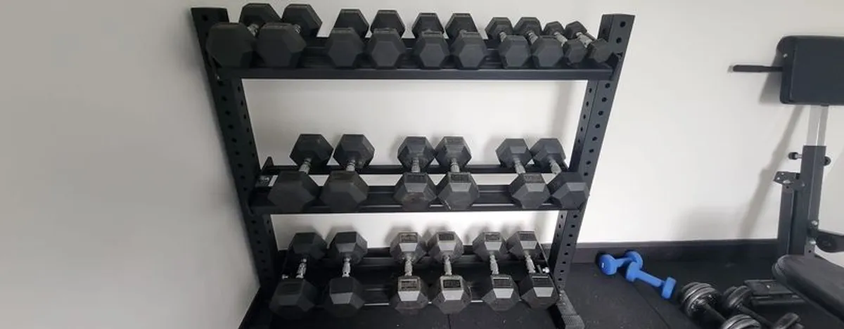 Dumbbell set (11 pairs) and rack - Image 1