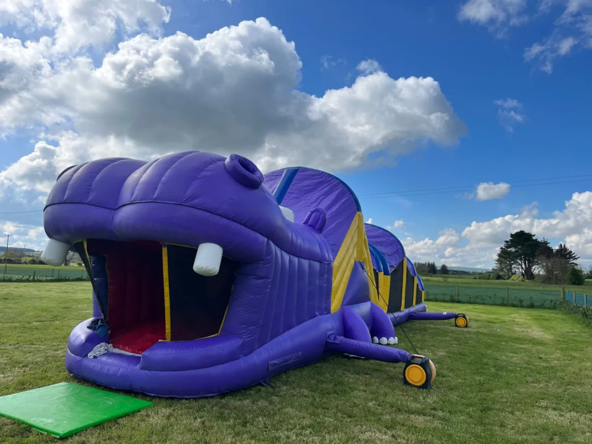 HIPPO OBSTACLE COURSE - Image 2