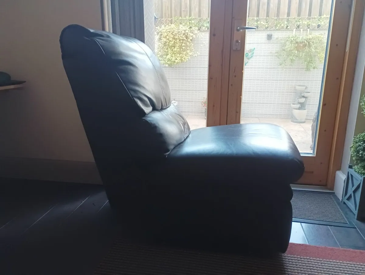 Free One Seater Leather Sofa - Image 1