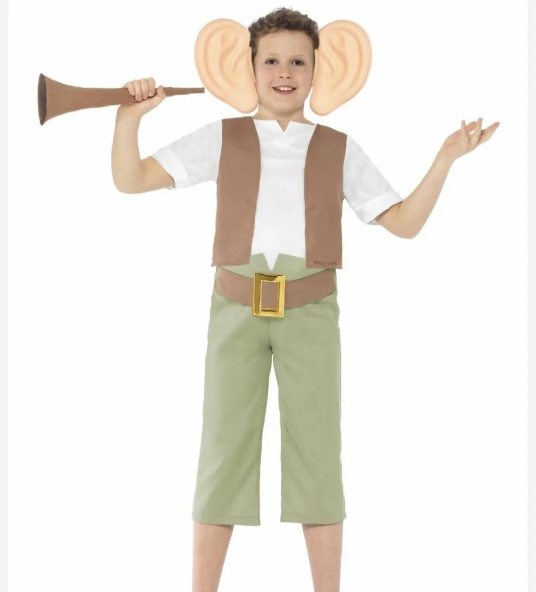 BFG Costume for age 10 - 12 years old - Image 1