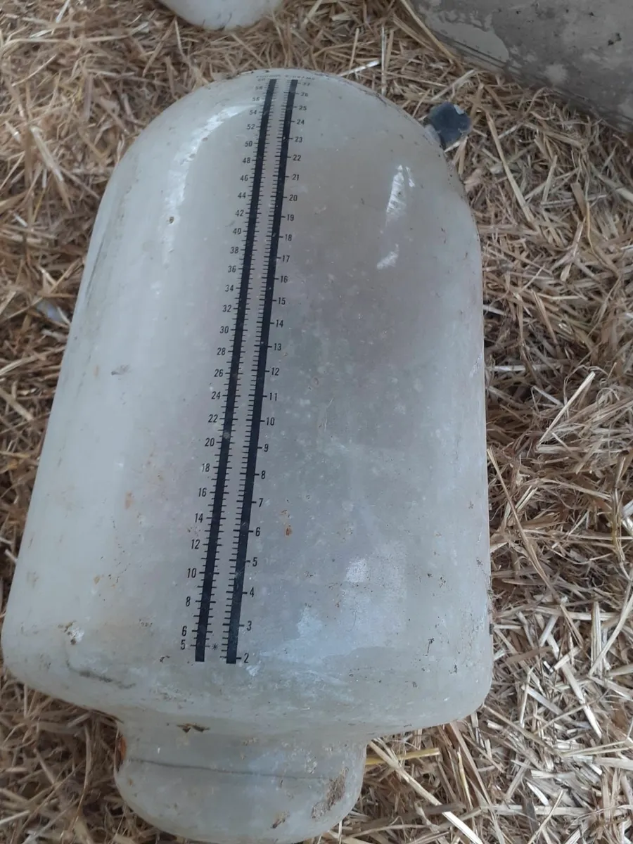 Milk Recording Jars and Plate Cooler - Image 1