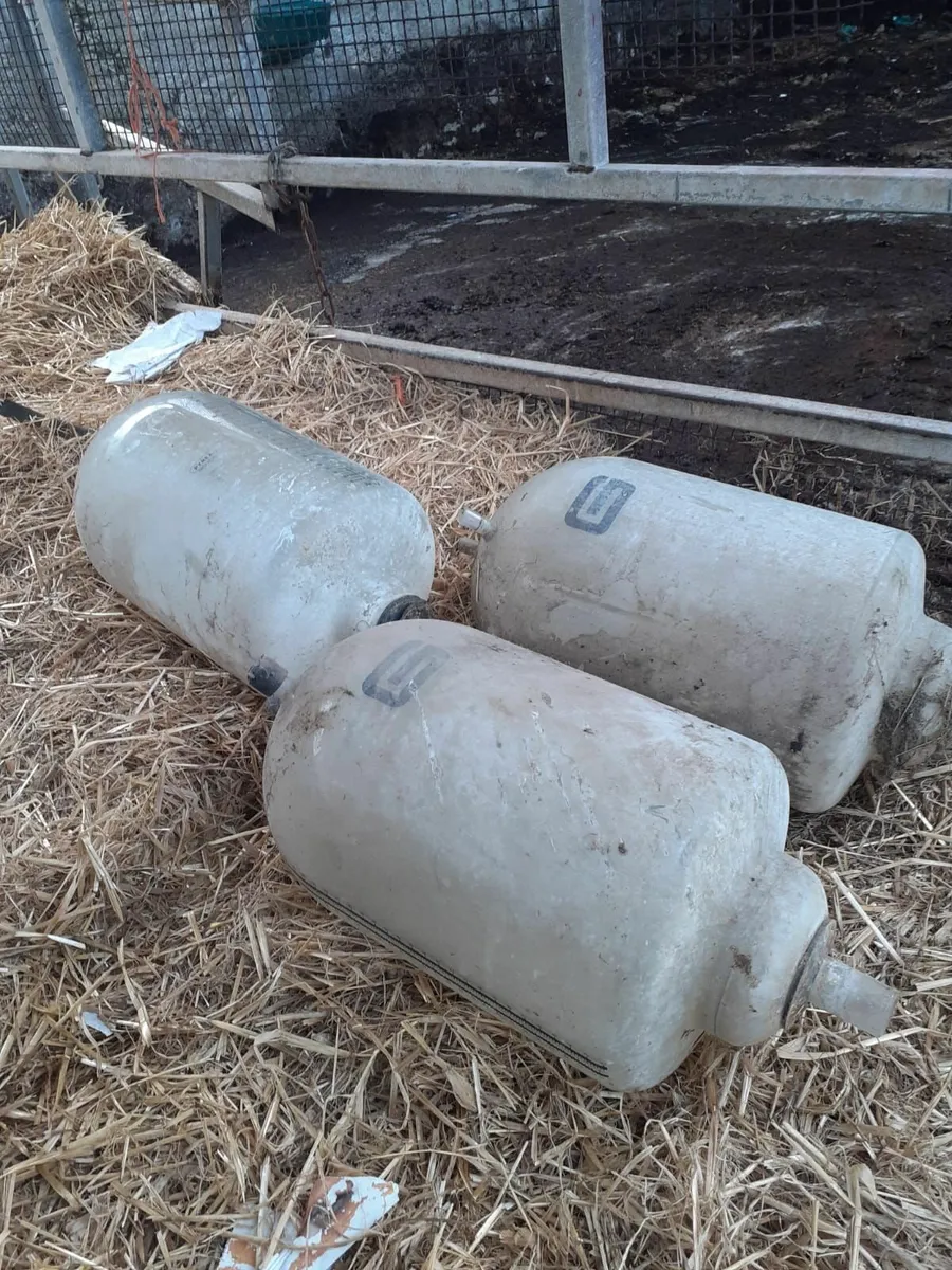 Milk Recording Jars and Plate Cooler - Image 2
