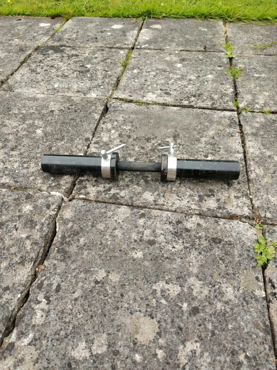 Olympic dumbbell and pull-up belt - Image 1