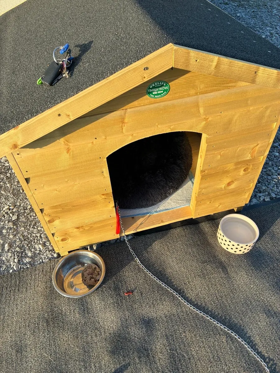 Dog House - Image 4