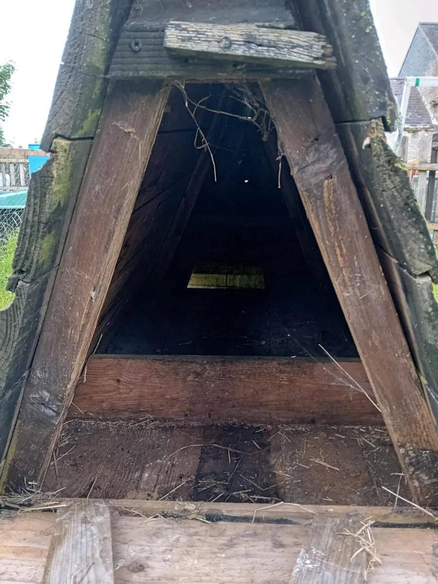 Hen house - Image 2