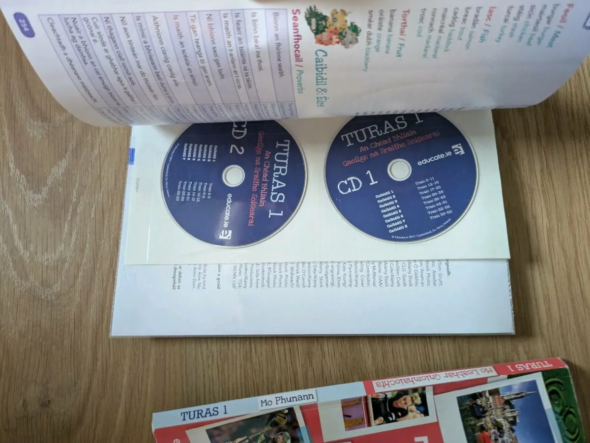 Turas 1 Irish Junior Cycle book (First year) - Image 2