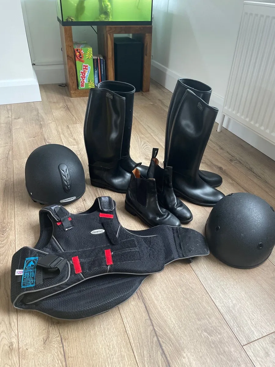 Horse Riding Gear Shire, Champion, Toggi, Wessex - Image 1