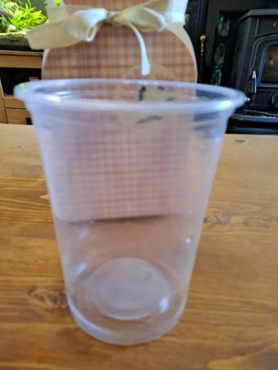 2 Flower vases free - Image 3