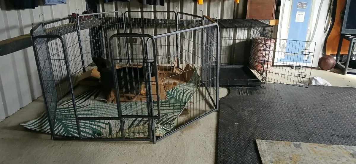 Pup Crate & Dog Pen - Image 2