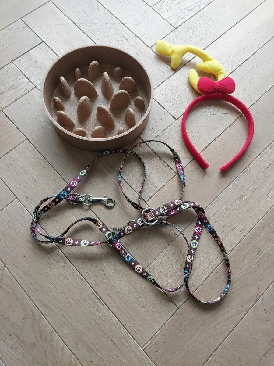 Puppy feeding bowl and lead