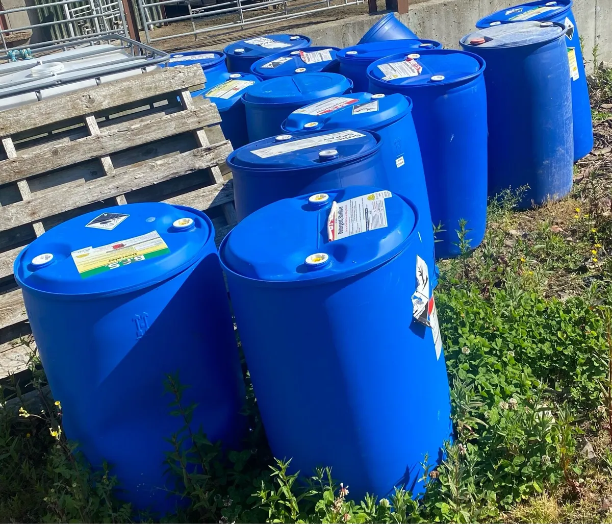 Blue barrels