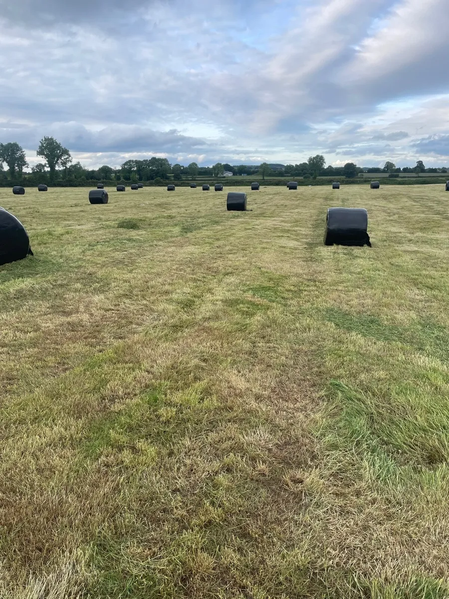 Tractor driver required - Image 4