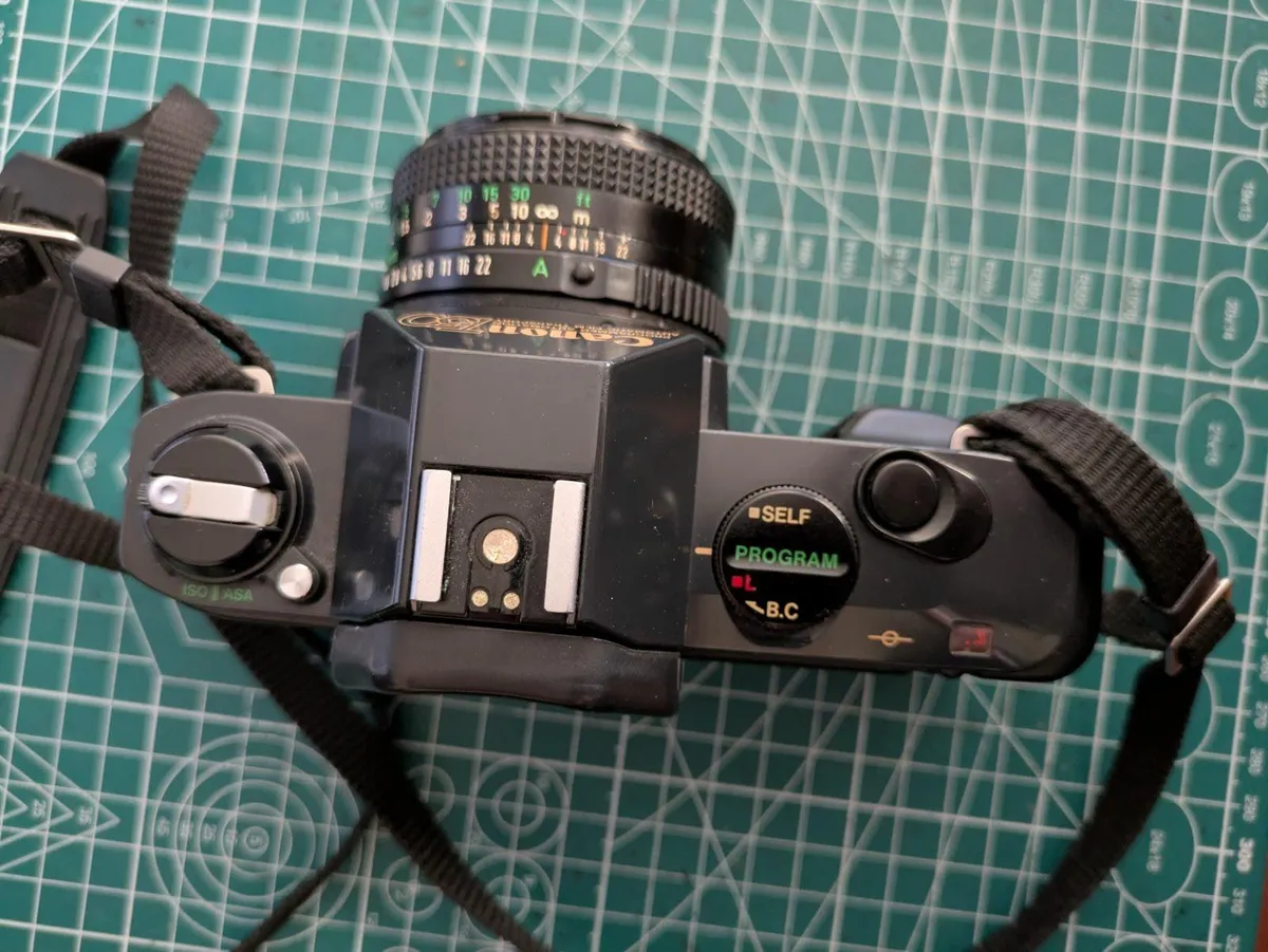 🎞️ Canon T50 + 50mm 1.8 lens - Image 3