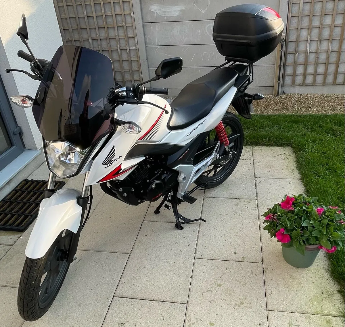 Honda CB125F - Image 2