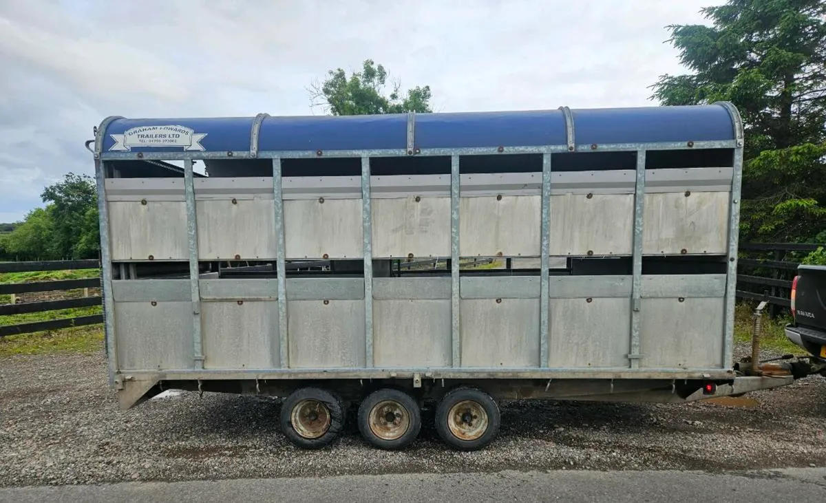 Trailer - Image 2