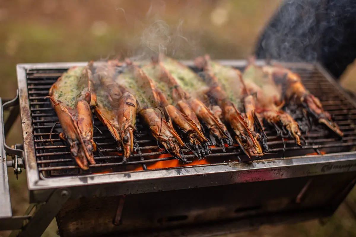 RidgeMonkey Grilla BBQ - Dual Fuel - Image 2