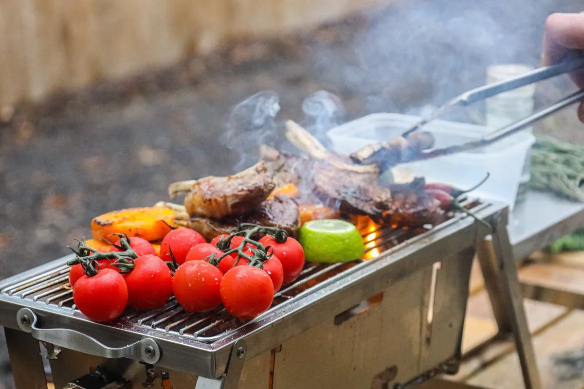 RidgeMonkey Grilla BBQ - Dual Fuel - Image 4