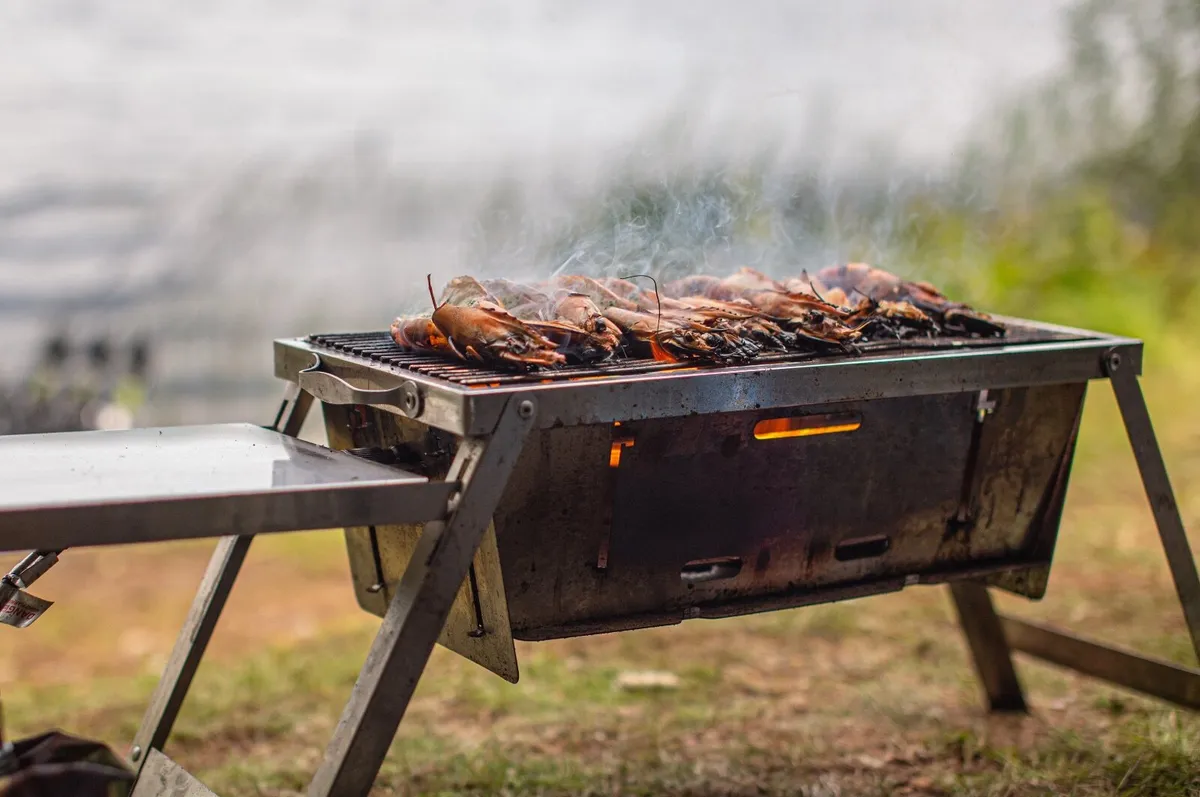 RidgeMonkey Grilla BBQ - Dual Fuel - Image 1