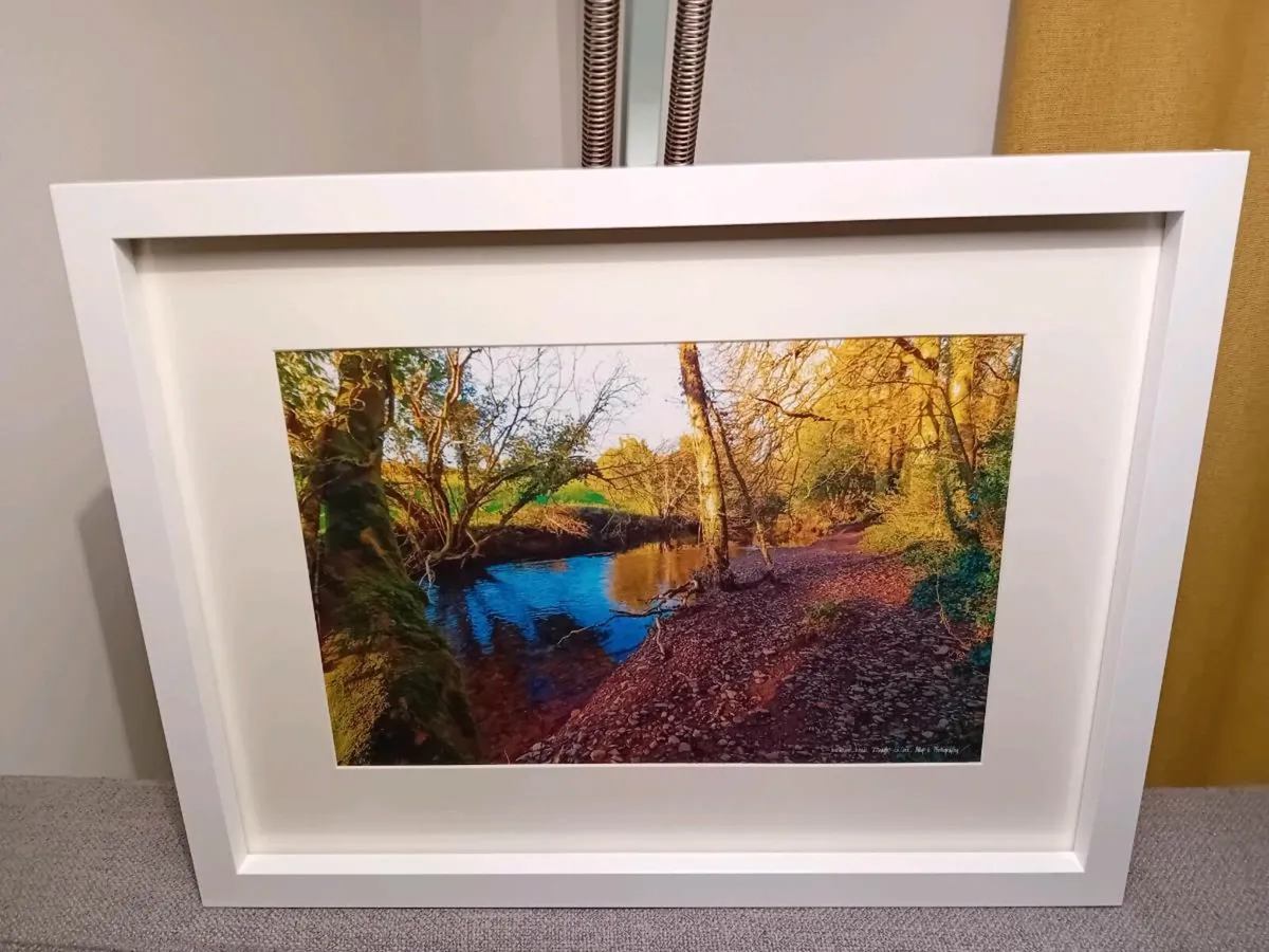 Glenbower Woods, Killeagh - Image 4